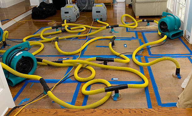 Professional Burst Pipe Water Damage technician working in Alton, TX